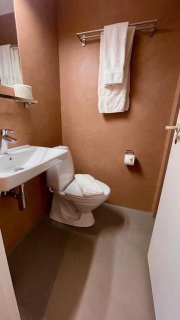 Hotel Skjoldenaesholm Slot à Jystrup Extérieur photo